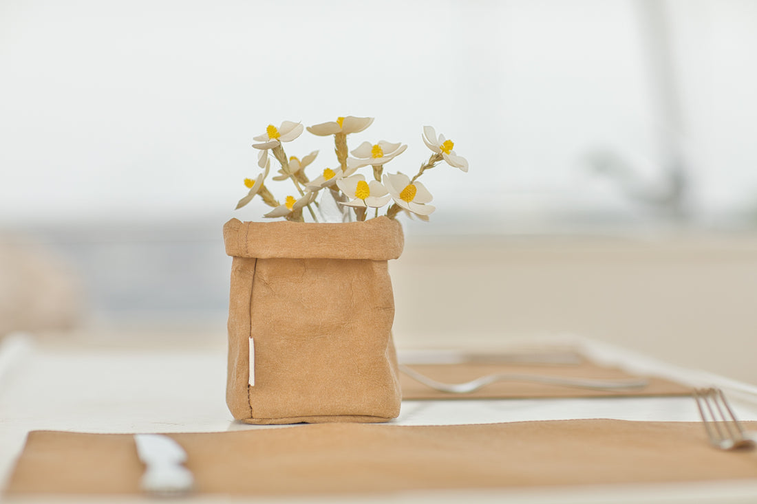 Elevate Your Indoor Greenery with Forstina's Washable Paper Plant Pots