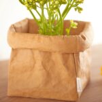 FORSTINA Paper Bag Medium - Image 18